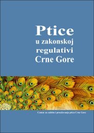 Crne Gore - Foundation Open Society Institute