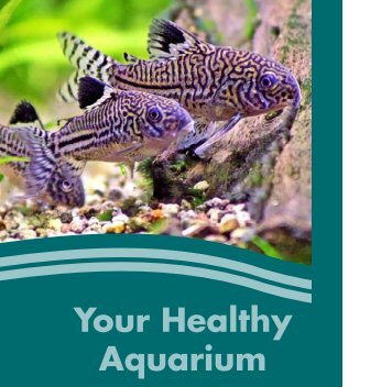Your Healthy Aquarium (PDF) - Petco
