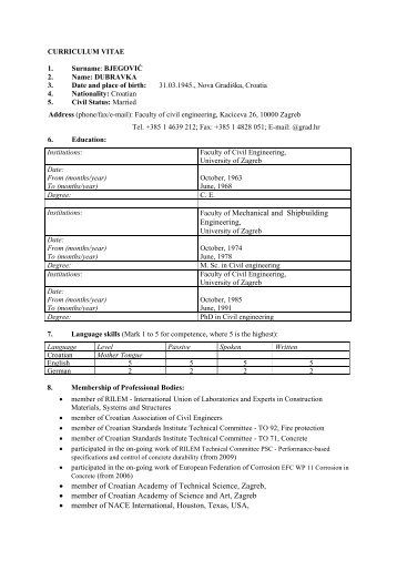 Annex I â Standard EU CV format