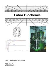 Labor Biochemie