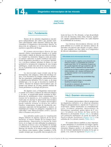 14a.1. Fundamento 14a.2. Examen microscÃ³pico DiagnÃ³stico ...