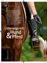 Der Hund-11-2012-Reitbegleithund - Hunde-Akademie Perdita LÃ¼bbe