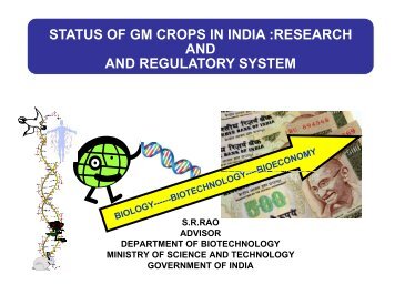 STATUS OF GM CROPS IN INDIA :RESEARCH AND ... - ILSI India