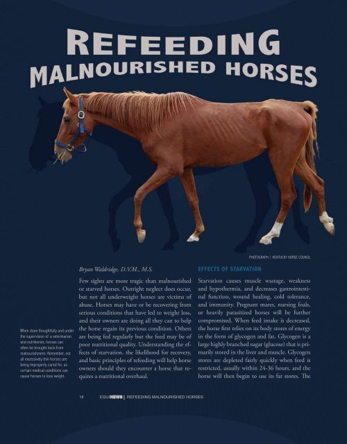 14 refeeding malnourished horses