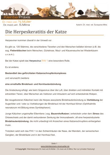 Die Herpeskeratitis der Katze - Kleintierpraxis Dr. Nina MÃ¼ller