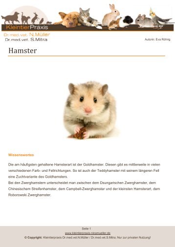 Hamster - Kleintierpraxis Dr. Nina MÃ¼ller