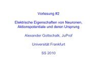 Vorlesung #2 Elektrische Eigenschaften von Neuronen ...