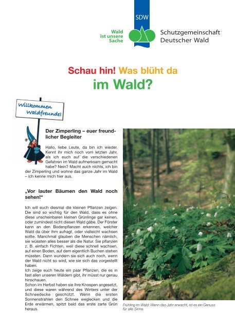 im Wald? - Schutzgemeinschaft Deutscher Wald