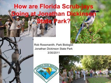 How are Florida Scrub-jays Doing at Jonathan Dickinson State Park?
