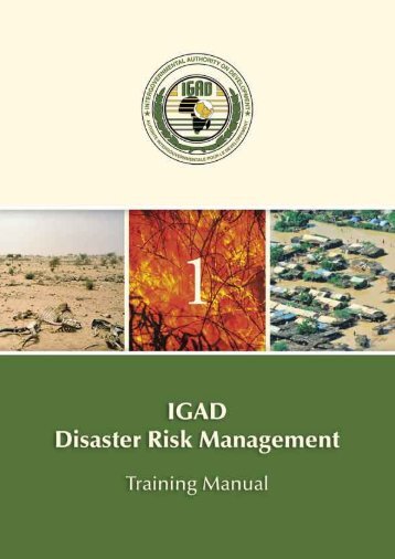 1-DRM Training Manual.pdf - Disaster risk reduction