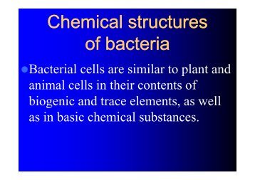 Chemical structures of bacteria - LF