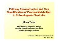 Pathway Reconstruction and Flux Quantification of ... - Clostridia