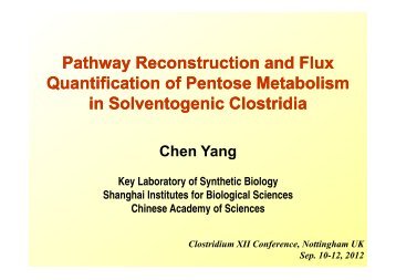 Pathway Reconstruction and Flux Quantification of ... - Clostridia
