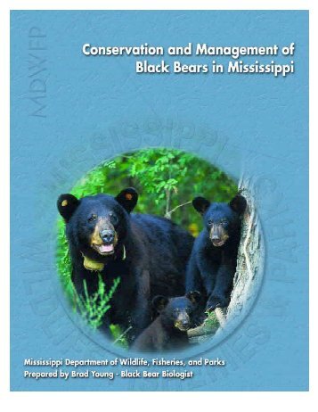 Conservation and Management of Black Bears in Mississippi (2006)