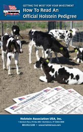 How to read an Official Holstein Pedigree