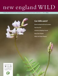 to get the file - New England Wild Flower Society