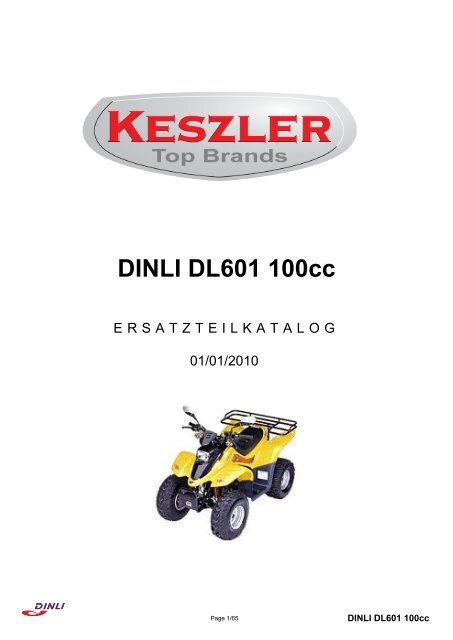 DINLI DL601 100cc