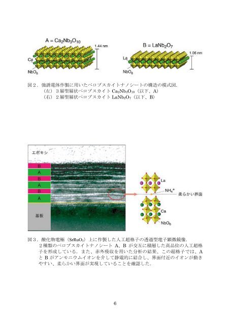 詳細PDF版 - 物質・材料研究機構