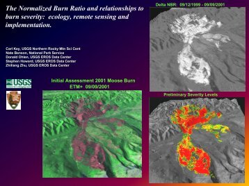 The Normalized Burn Ratio and relationships to burn severity ...