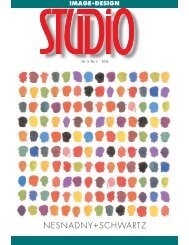 Studio / V13, #2 Reprint - 03.95 FA - Nesnadny + Schwartz