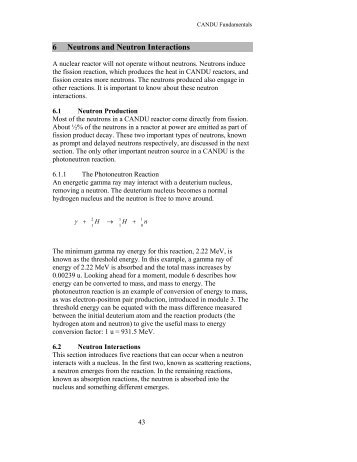 6 Neutrons and Neutron Interactions