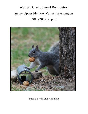 Western Gray Squirrel Distribution in the Upper Methow Valley ...