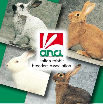 The Rabbit Directory - ASIC