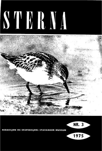 Sterna, bind 14 nr 3 (PDF-fil) - Museum Stavanger