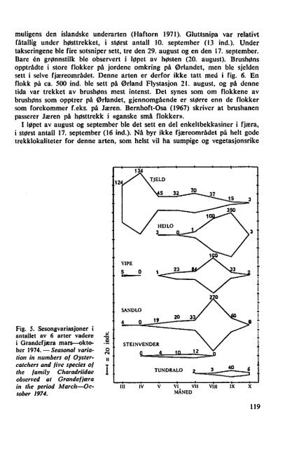 Sterna, bind 14 nr 3 (PDF-fil) - Museum Stavanger