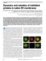 Singer Lab Protocols: In Situ Hybridization of Yeast Cells