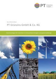 Kurzinformation PT GrÃ¼nzins - PT Erneuerbare Energien GmbH