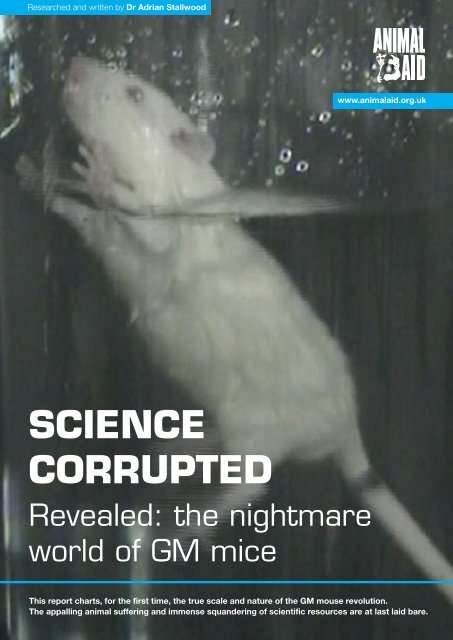 More than a dozen rodents discovered with their tails tied together in rare  'rat king' sighting, Climate