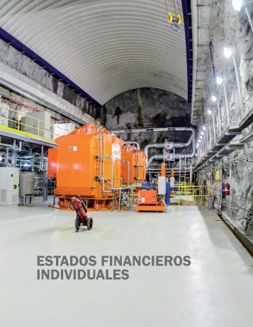 ESTADOS FINANCIEROS INDIVIDUALES - Celsia
