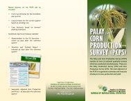 The Palay and Corn Production Survey - Philippines Bureau of ...