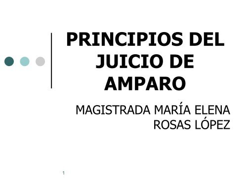 principios del juicio de amparo - Tribunal Electoral del Poder ...