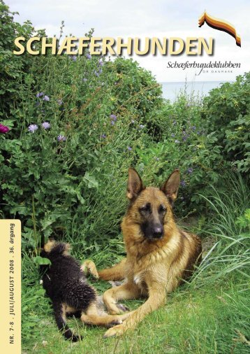 schÃ¦ferhuNdeN - SchÃ¦ferhundeklubben for Danmark
