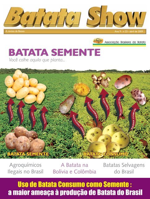 Guía para plantar de forma eficiente trigo, zanahoria, patatas