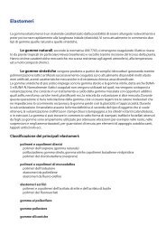 Polimeri elastomerici - Maurizio Galluzzo