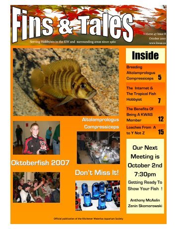 October 2007 - Kitchener Waterloo Aquarium Society
