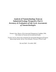 Analysis of Nanotechnology from an Industrial Ecology ... - denix