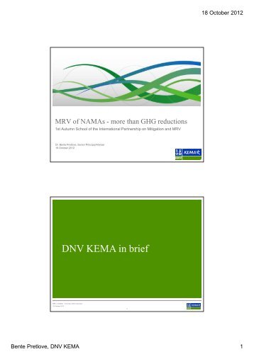 MRV NAMAs - more than GHG (pdf) - International Partnership on ...