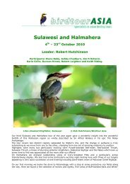 Sulawesi and Halmahera - Birdtour Asia