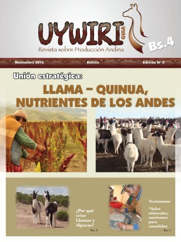 Boletin Uywiri 04 .pdf - Cop-ppld.net