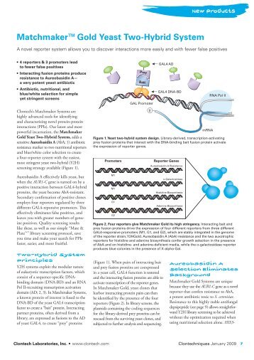 Matchmakerâ¢ Gold Yeast Two-Hybrid System