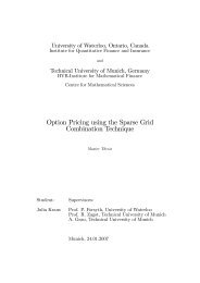 Option Pricing using the Sparse Grid Combination Technique - risklab