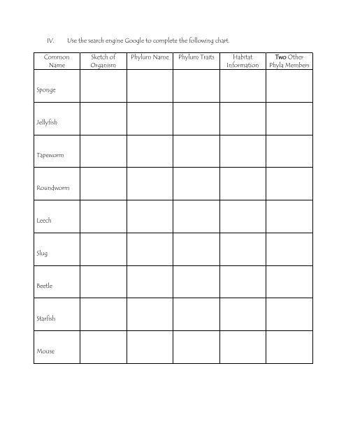 Rhesus Monkey Classification Chart