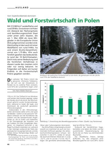 Wald und Forstwirtschaft in Polen - Waldwissen.net