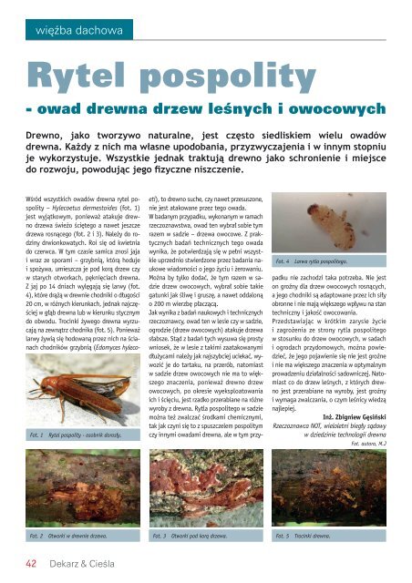 Fachowy Dekarz & Cieśla 1/2014