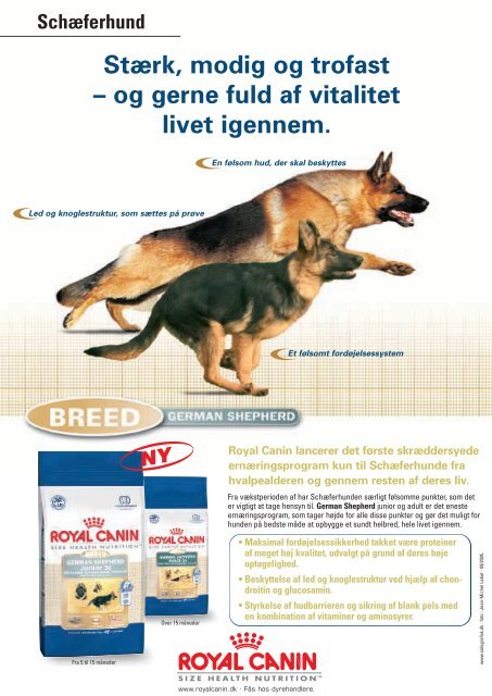 Nr. 7/8 - SchÃ¦ferhundeklubben for Danmark