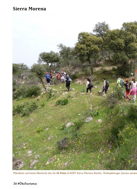 Die Sierra Morena in Spanien